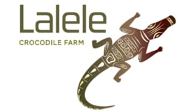 Lalele Logo