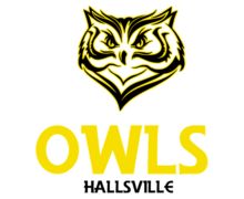 Owls ZenBusiness logo