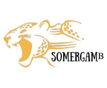 Somergamb ZenBusiness logo