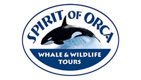 Killer Whale Tours Logo