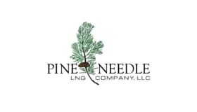 Pine Needle Logo