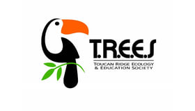 Toucan Trees Logo