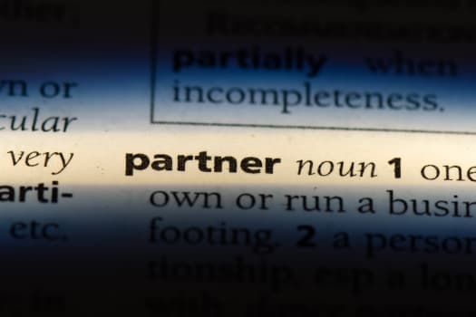 partner definition