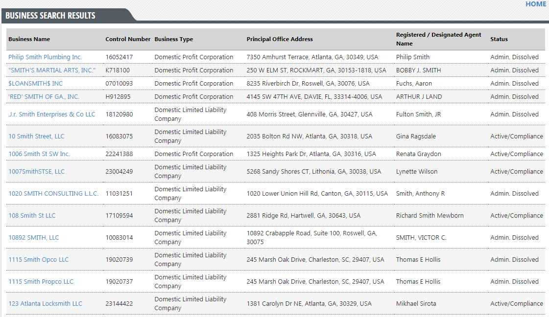 georgia business search results