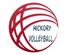 Volleyball Logo