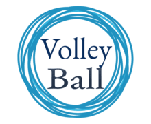 Volleyball ZenBusiness logo