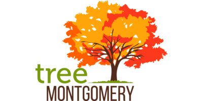 Tree Montgomery Logo