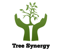 Tree Synergy ZenBusiness logo