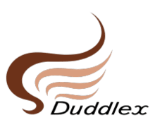 Duddlex ZenBusiness Logo