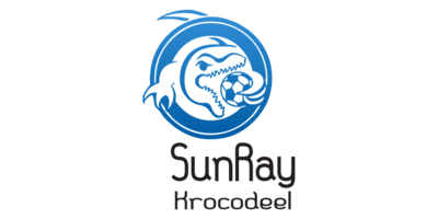 Sun Ray ZenBusiness Logo