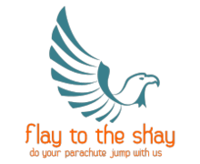 Fly to the Sky ZenBusiness logo