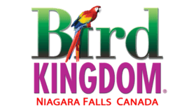 Bird Kingdom Logo