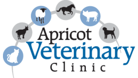 Apricot Veterinary Logo