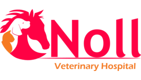 Noll Veterinary Logo