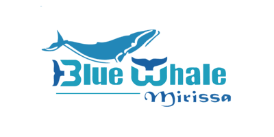 Blue Whale Mirissa Logo