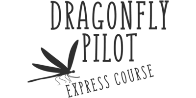 Dragonfly Pilot ZenBusiness logo