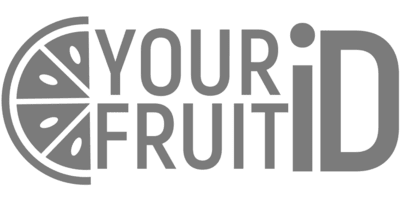 Fruit in ZenBusiness logo