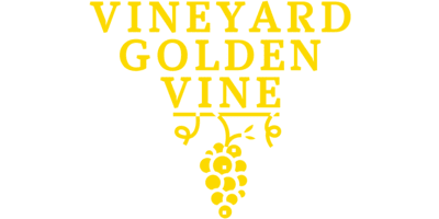 Vineyard ZenBusiness logo