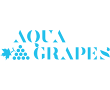 Aqua Grapes ZenBusiness logo