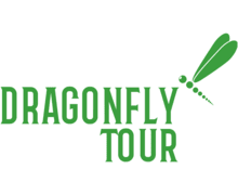 Dragonfly Tour ZenBusiness logo