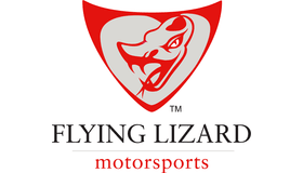 Flying Lizard Logo