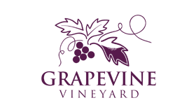 Grapevine Vineyard Logo