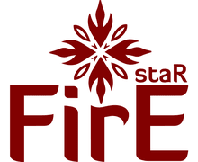 Fire Star ZenBusiness logo