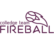 Fireball ZenBusiness logo