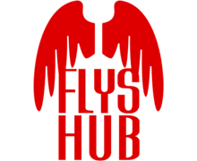 Flys Hub ZenBusiness logo