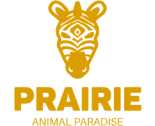 Prairie ZenBusiness logo