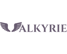 Valkyrie ZenBusiness logo