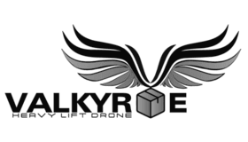 Drone Valkyrie Logo