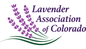 Lavander Colorado Logo