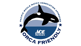 Pacific Whale Logo