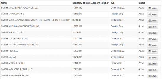 Nebraska Secretary of State business entity name search results page.