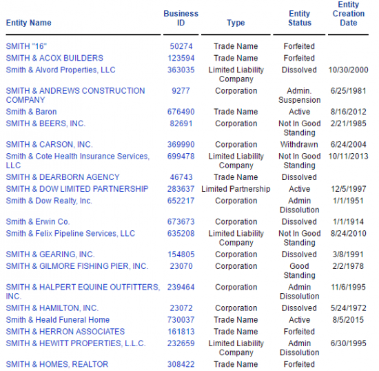 New Hampshire SOS business entity name search results example.