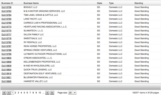 South Dakota Secretary of State business search form by entity details results page.